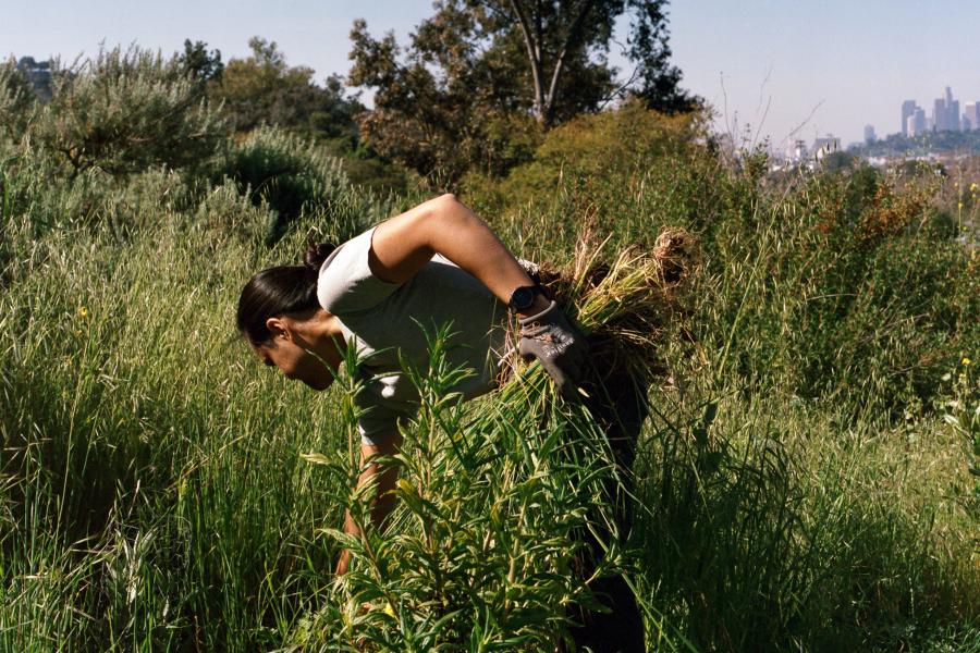 Person bent over pulling long grass on a hill.