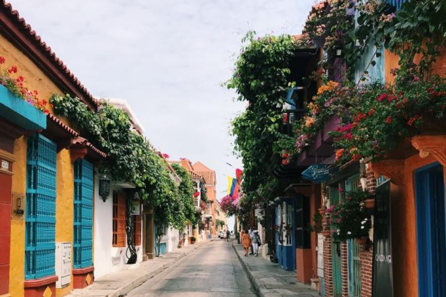 Latin American street scape with colourful buildings and many vines.