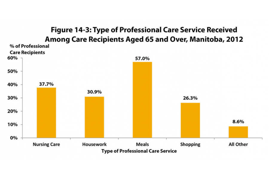 A bar chart showing the types of professional care services older Manitobans aged 65 years and over received: nursing, housework meals, shopping, and other.