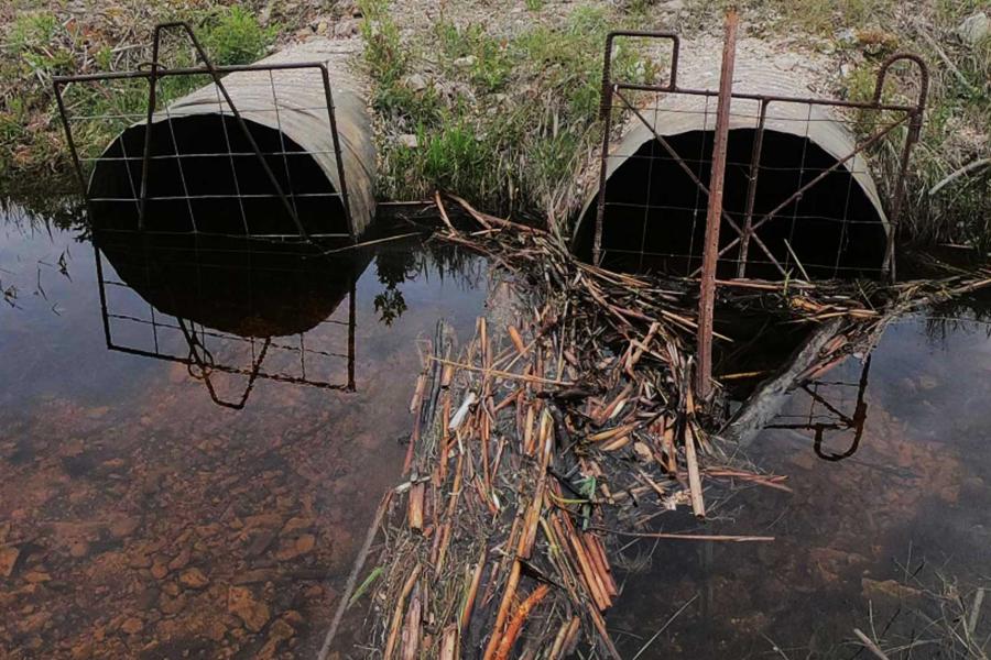 two culverts in a stream.