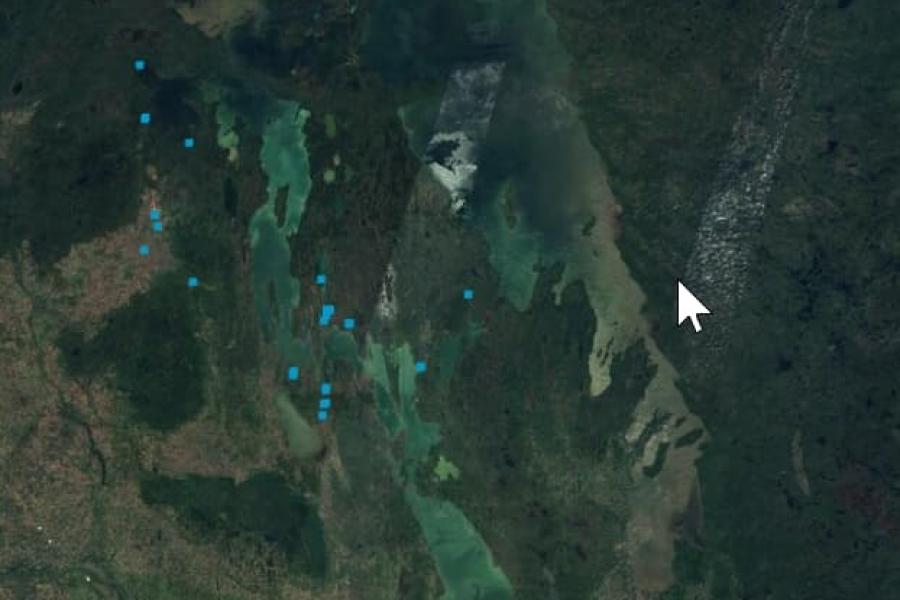 Satellite image of Lakes Winnipegosis, Manitoba, Waterhen and Winnipeg, showing sampling site in the Manitoba Great Lakes Program