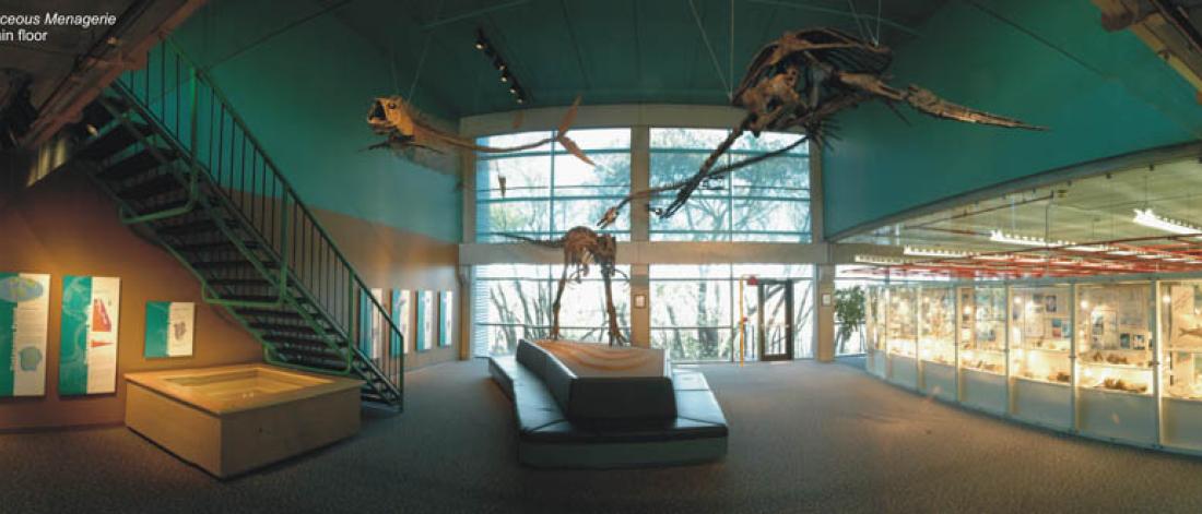 Panoramic view of ed leigth museum standing at main entrance looking in.