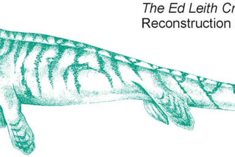Artist reconstruction of platecarpus fossile at ed leith menagerie.