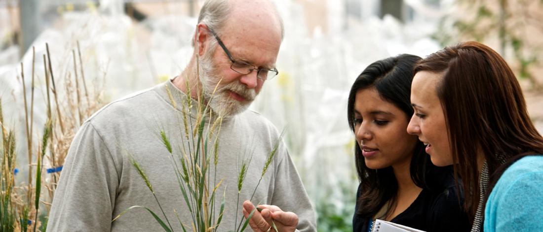 A plant science researcher works with two students in a greenhouse.