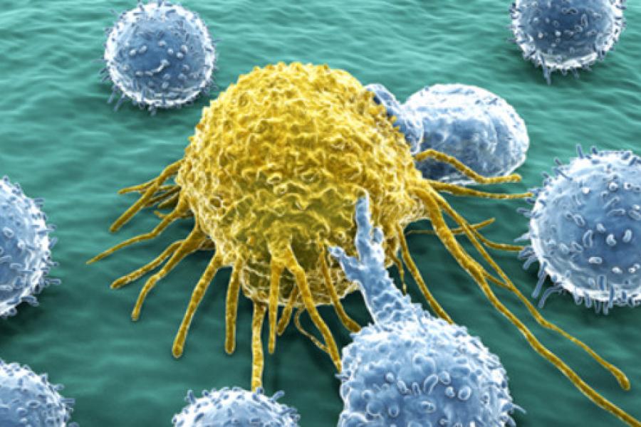 Illustration of a cancer cell.