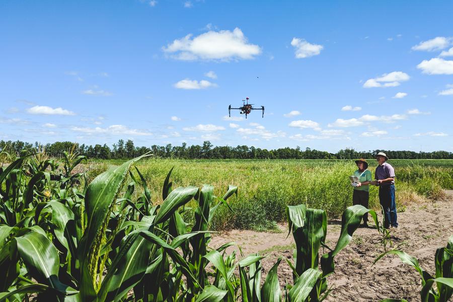 2 people in field using a drone.
