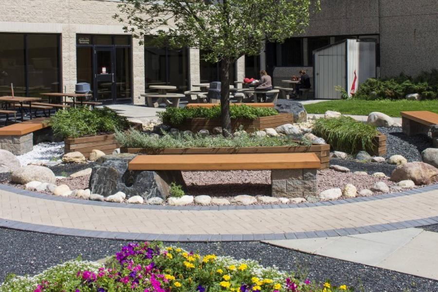 The Medicine Garden of Indigenous Learning features trees, shrubs and benches for sitting.