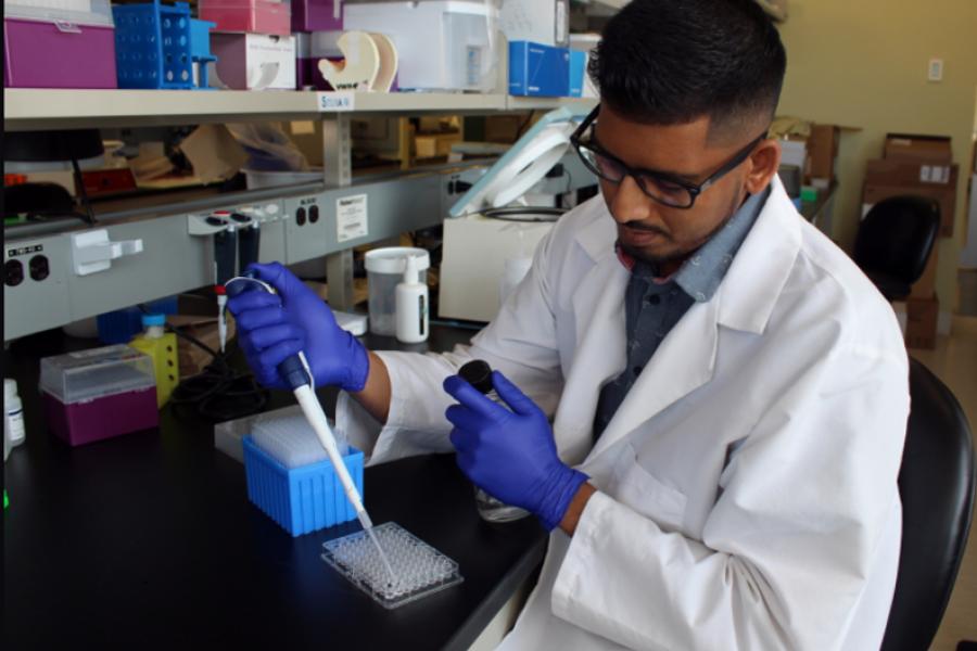 A researcher extracting liquid form a pipette.