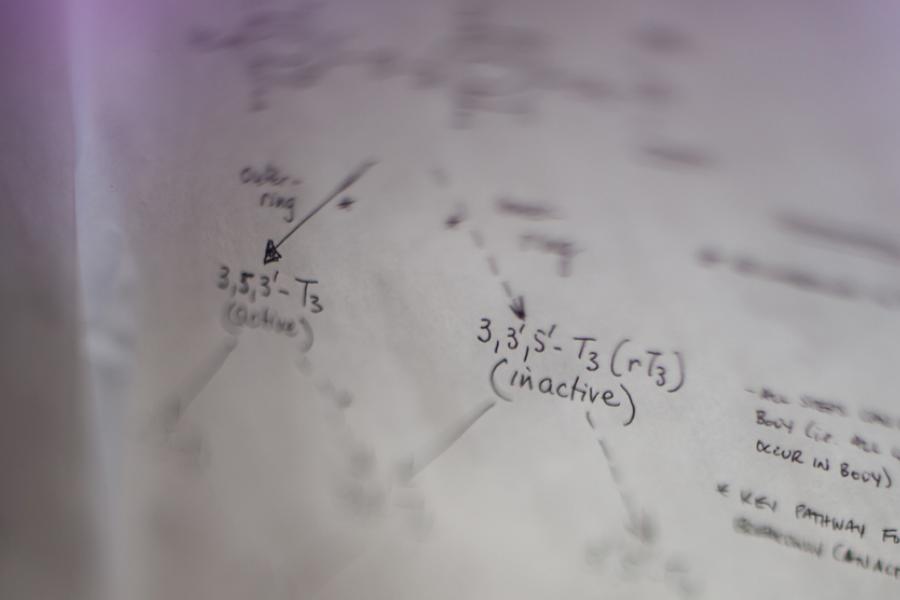 math equations written on a whiteboard