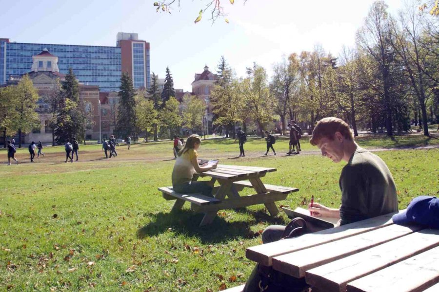 Student sitting in the quad in the summer