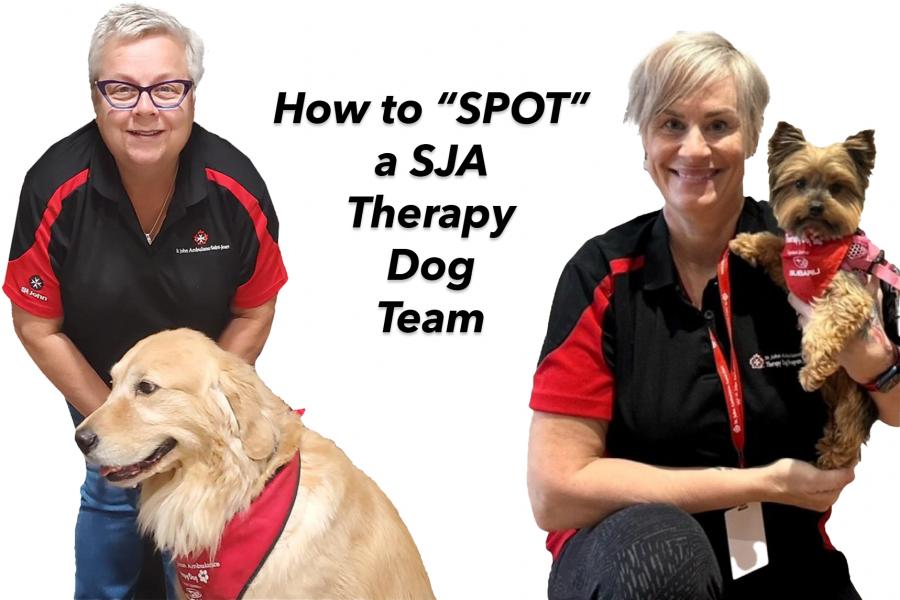 SJA Therapy Dog Team