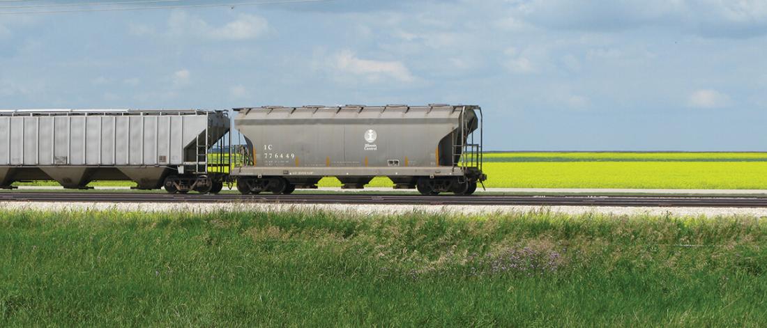 Rail cars in front of a canola field.