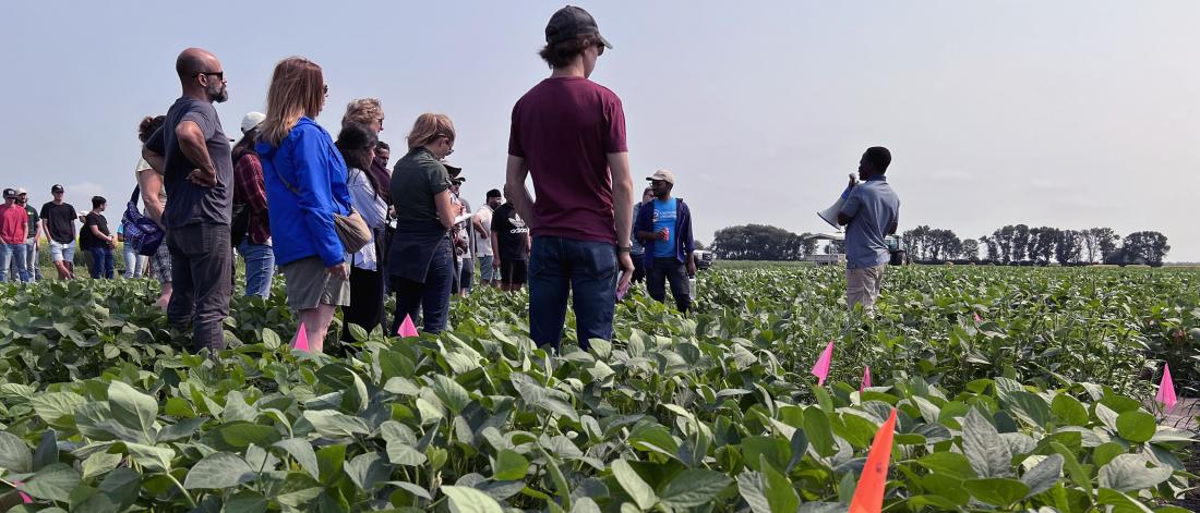 People listen to a lecturer in a field