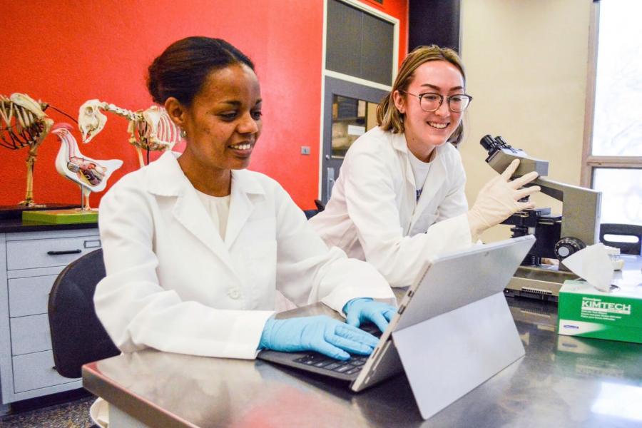 Two students sit at a desk beside each other, one using a laptop, the other a microscope. 