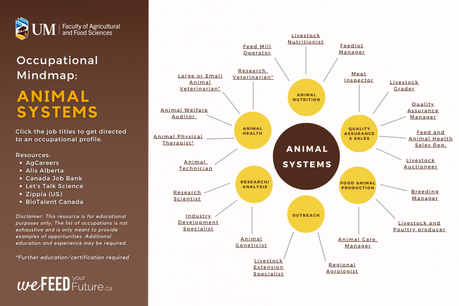 Animal Systems Occupational Mindmap web