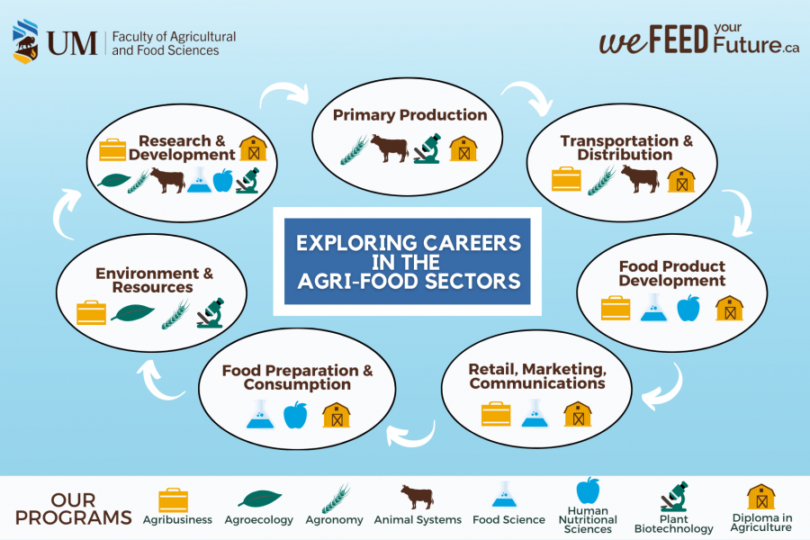food sectors web size