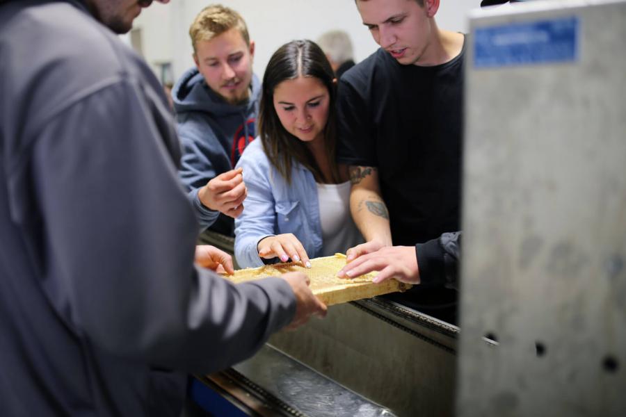 3 students examine bees while another holds the hive
