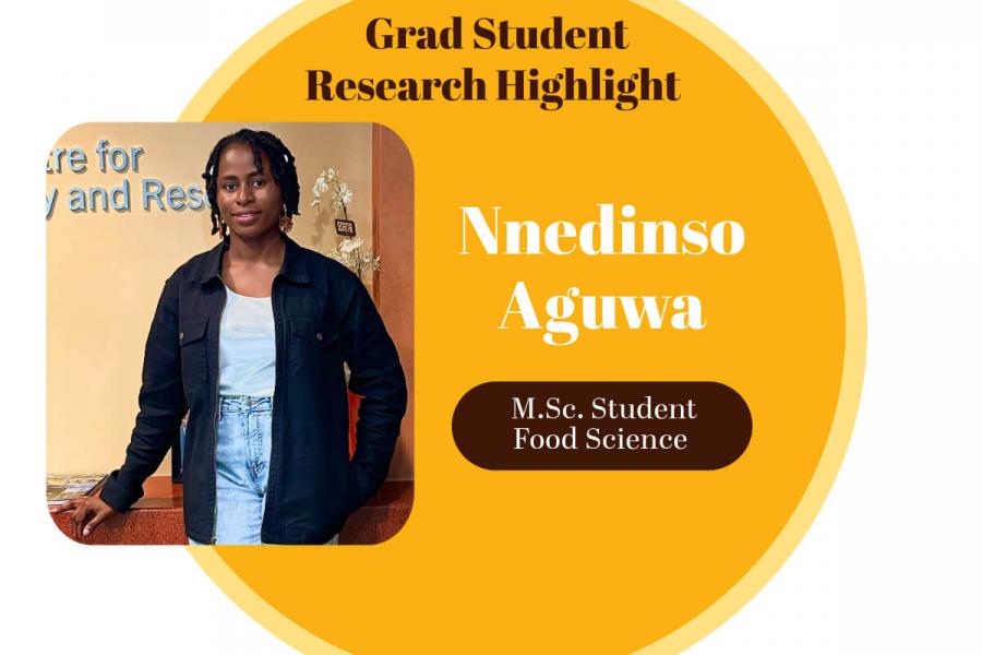grad-student-spotlight-nnedinso