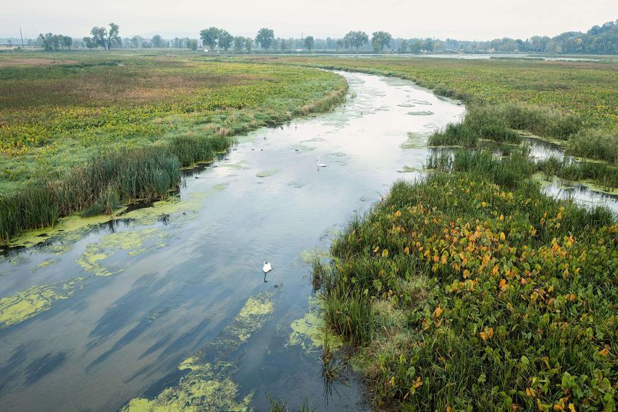 water flows through a field