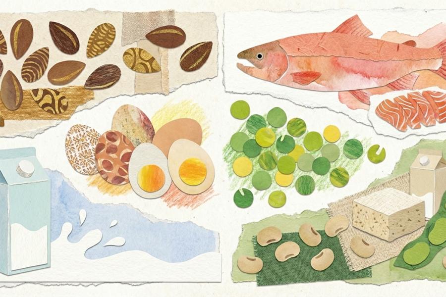 Food collage - fish, eggs, nuts, vegtables