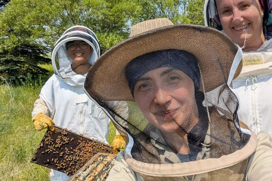 Honey Bee Lab, Dr. Nuria Morfin and 2 researchers in full gear, tend to bee trays