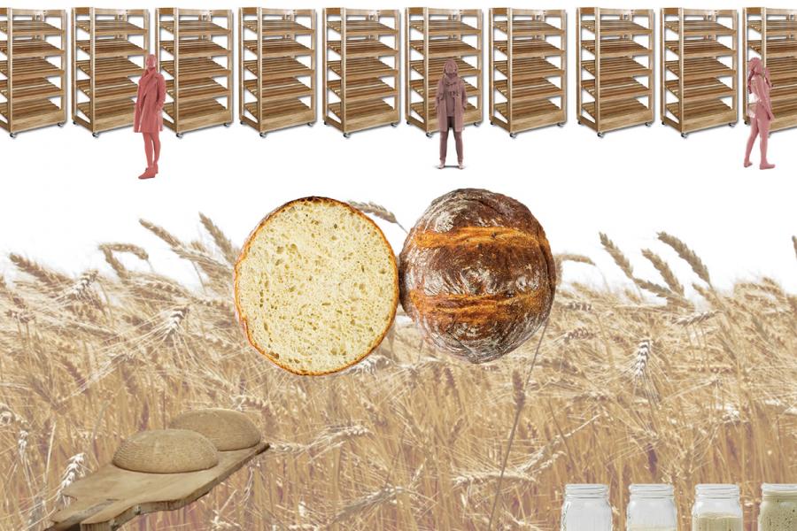 conceptual collage