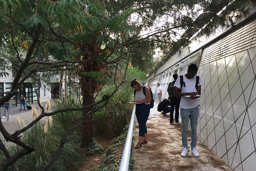 student standing drawing in greenery and beside a building
