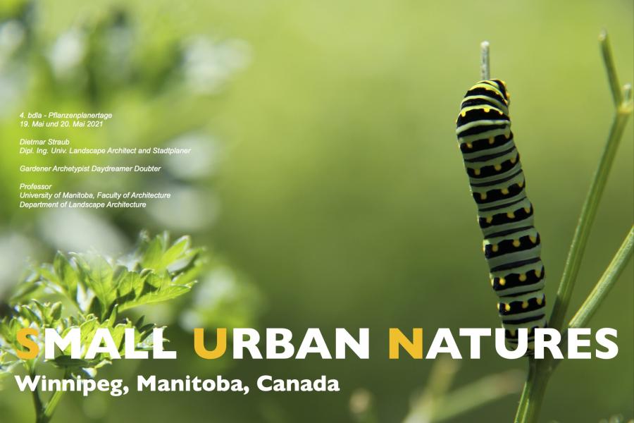 a caterpiller with yellow and white text "Small Urban Natures" across the bottom