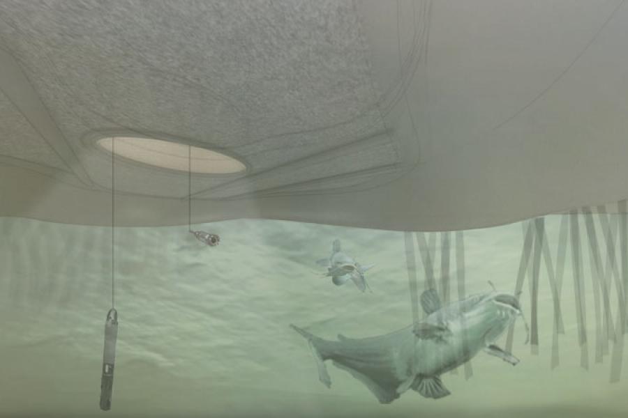 Exterior fish perspective.