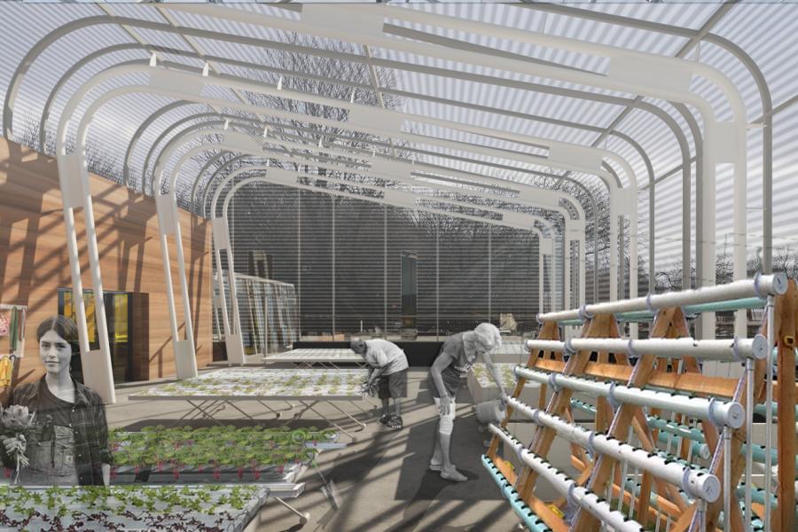 Inside the hydroponic greenhouse