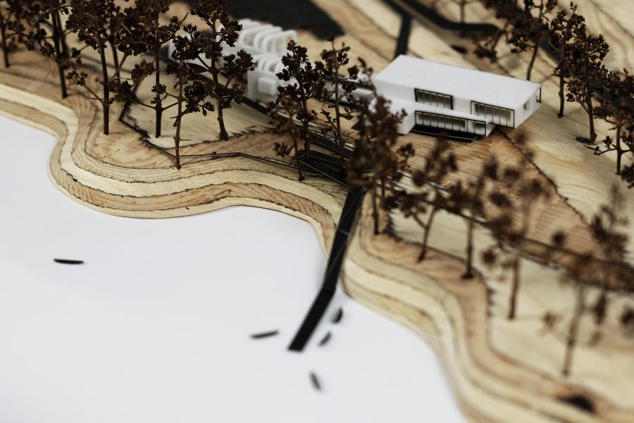 Site model