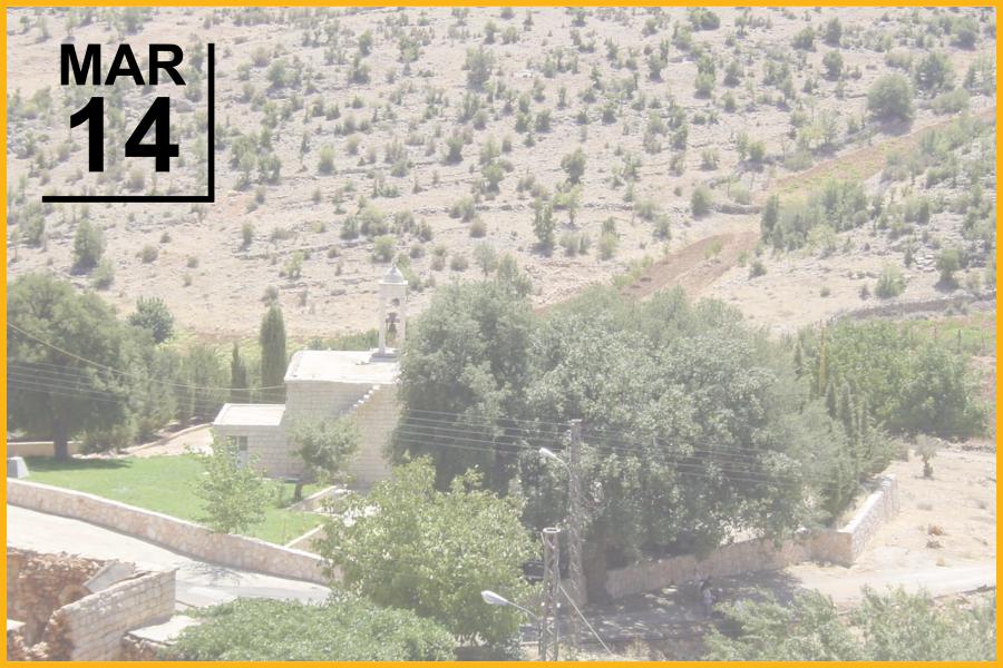 mature oak trees in the churchyard versus degraded ones in the surrounding landscape in Lebanon