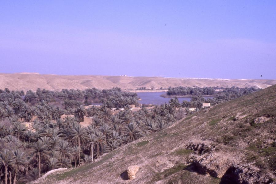 settlement in the Euphrates River Valley, a living example of nature responsive landscape in arid regions in Iraq