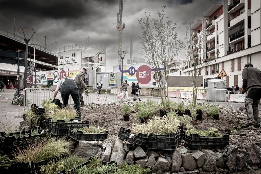 People working on an urban gardening project, planting various plants in a prepared area surrounded by buildings and construction sites.