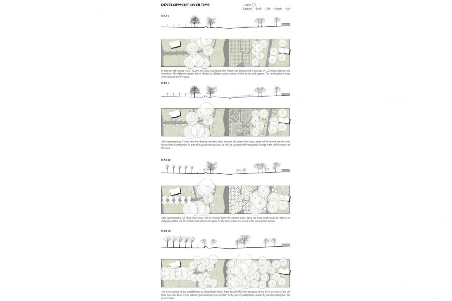 Illustration showing tree growth and development stages in a forest over 50 years, with diagrams for years 1, 5, 10, and 50, depicting tree placement and density changes.