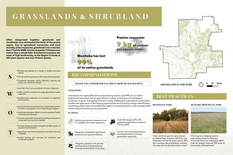 Infographic on Manitoba grasslands: history, challenges, statistics, and conservation strategies.