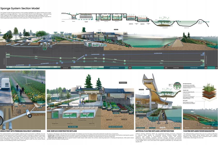 Illustration of a Sponge System Section Model showing green infrastructure. Key elements include permeable walkways, bioswales, constructed wetlands, and floating wetlands.