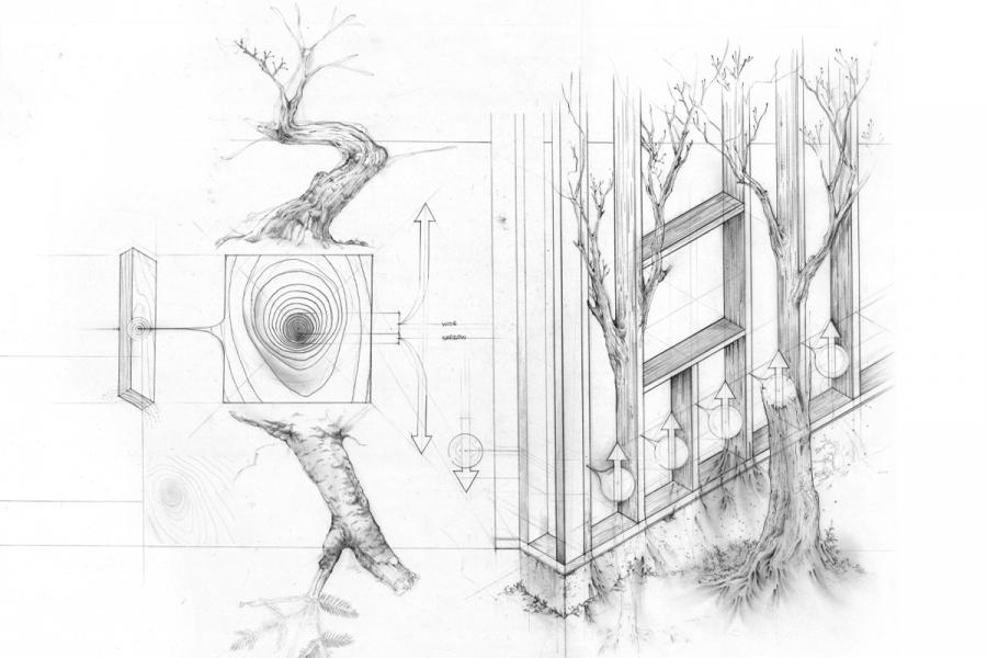 Architectural drawing showing trees integrated into a building with diagrams illustrating airflow and roots. The tone is innovative and thoughtful.