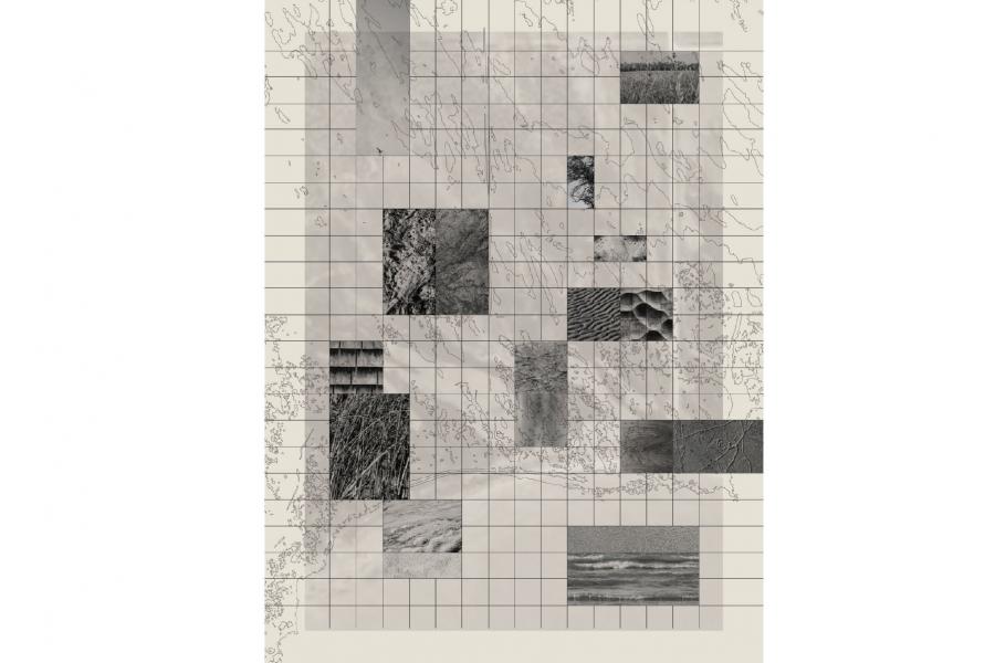 A grayscale abstract collage with a grid, featuring various textures of nature like grass, water, and soil. The tone is artistic and contemplative.