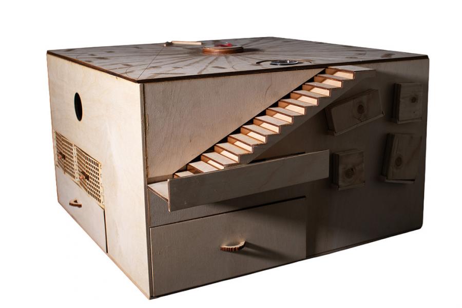 Wooden puzzle box with intricate details, featuring a small staircase and various compartments. The design conveys a sense of mystery and curiosity.