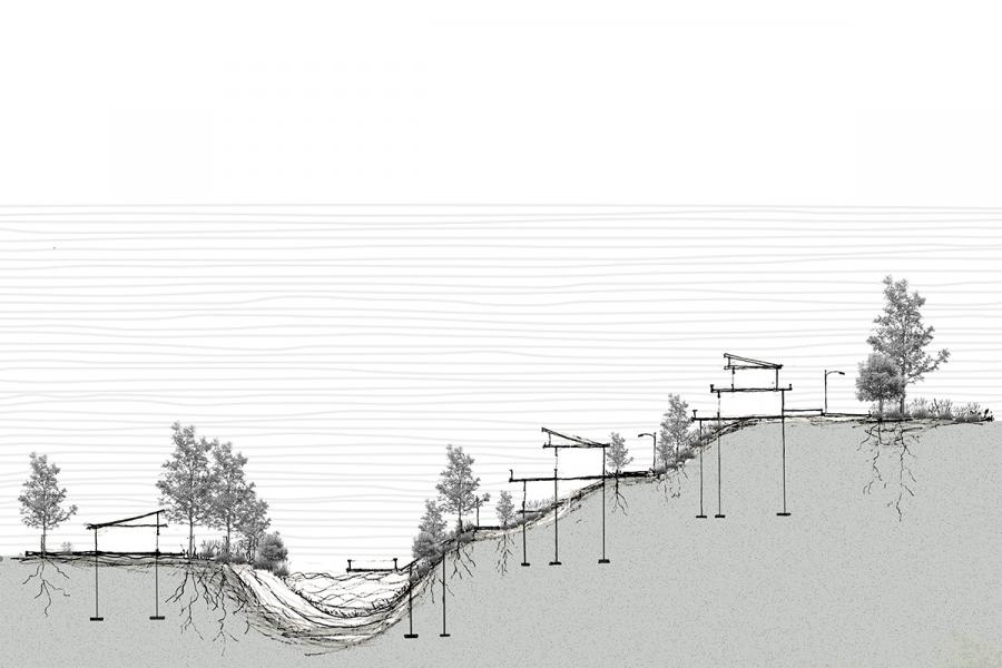 Cross-section illustration of trees on a sloped landscape, supported by stilts and platforms. Roots extend across the terrain, conveying an engineered ecosystem.