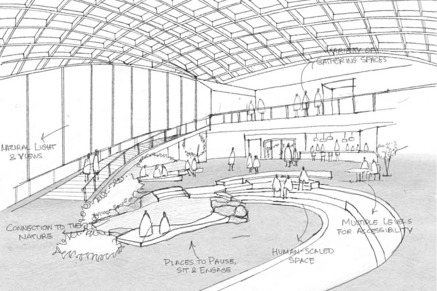 Sketch of an open indoor space with curved seating, natural light from large windows, plants, accessible levels, and people gathering. 