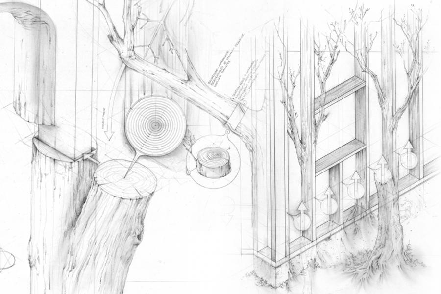 Pencil sketch of trees integrated into a geometric architectural structure.
