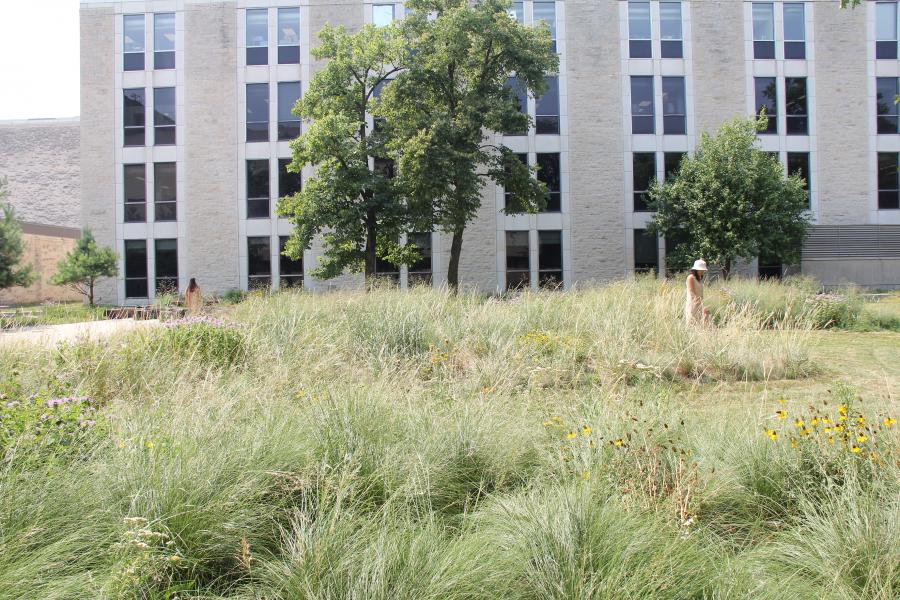 Science courtyard