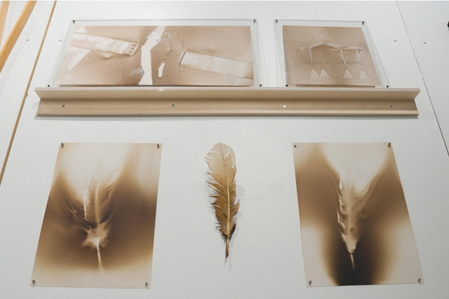 grid of feathers