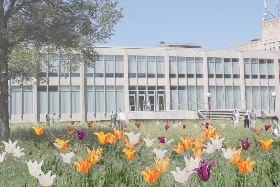 Modern glass-fronted building behind a meadow of vivid orange, white, pink, and purple tulips, with people walking beneath a clear blue sky.