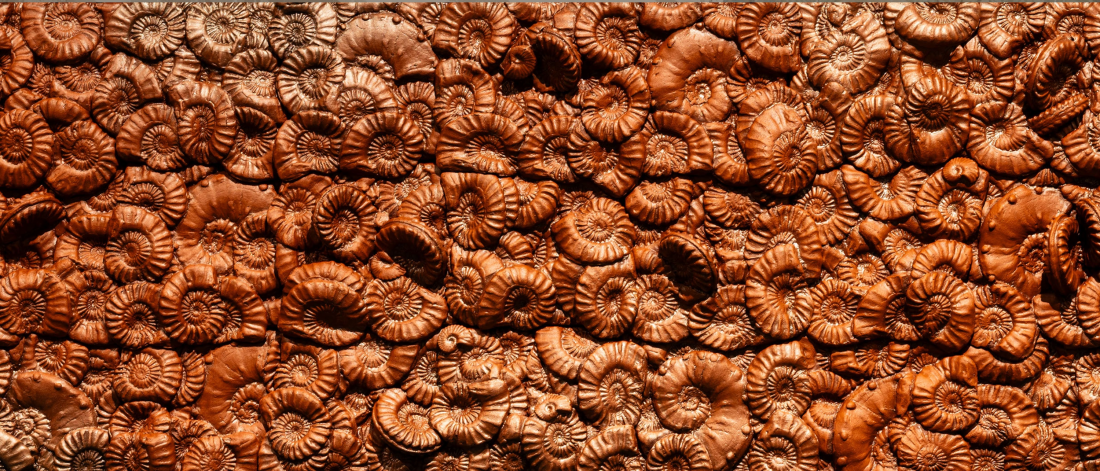 Ceramic mural densely covered with overlapping reddish-brown ammonite fossil forms.