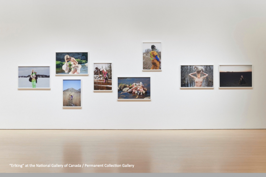 Eight colourful photographs in white frames, hang on a white gallery wall.