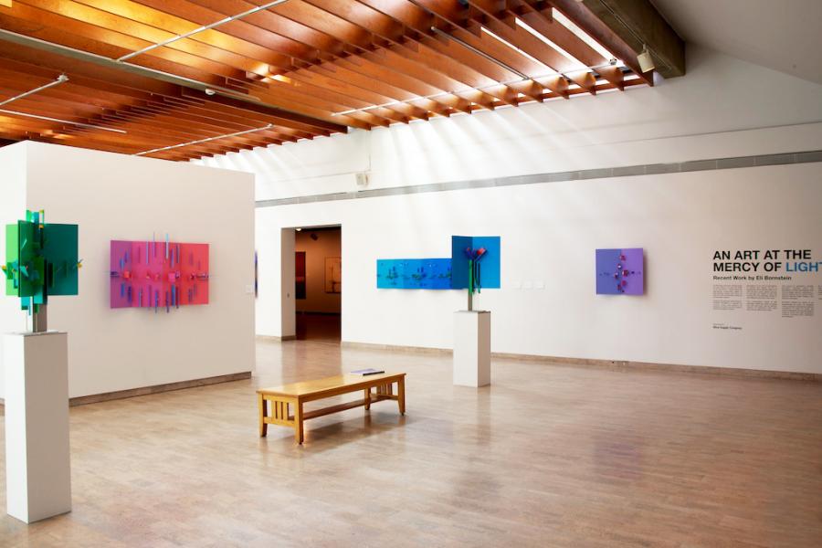 An Art at the Mercy of Light Mendel Art Gallery 2013 Photo Troy Mamer