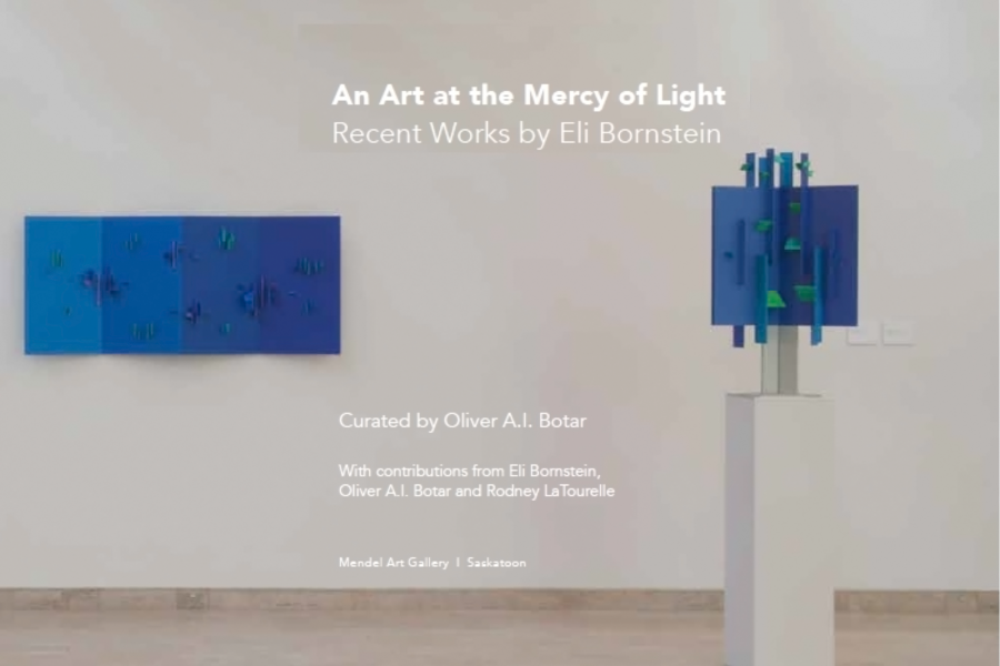 An Art at the Mercy of Light Mendel Art Gallery 2013 b